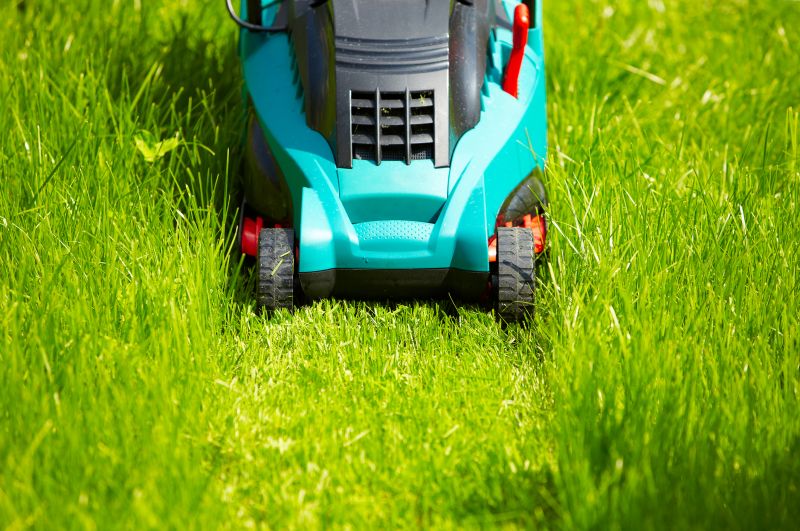 Business Grass Cutting