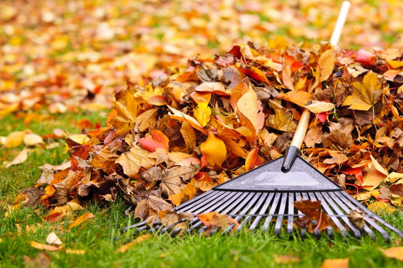 Healthy Fall Lawn Care