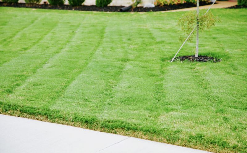 Trimmed Lawns