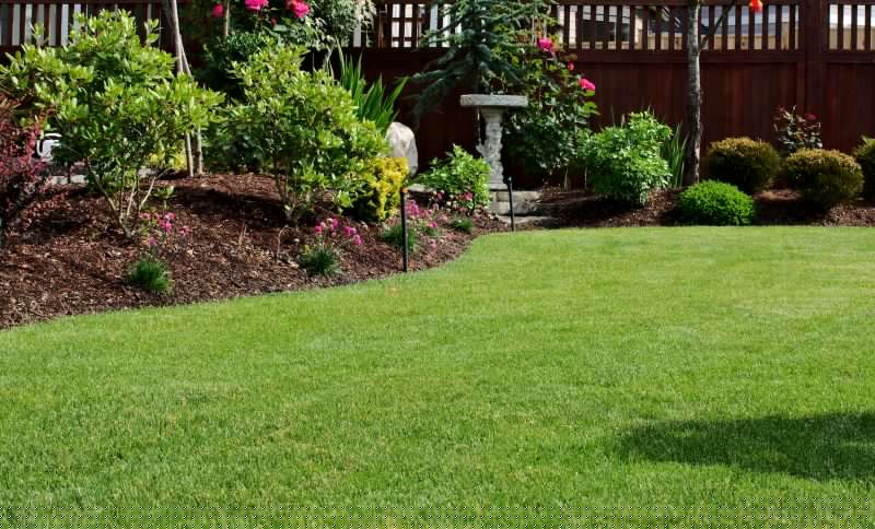 Spring Lawn Maintenance