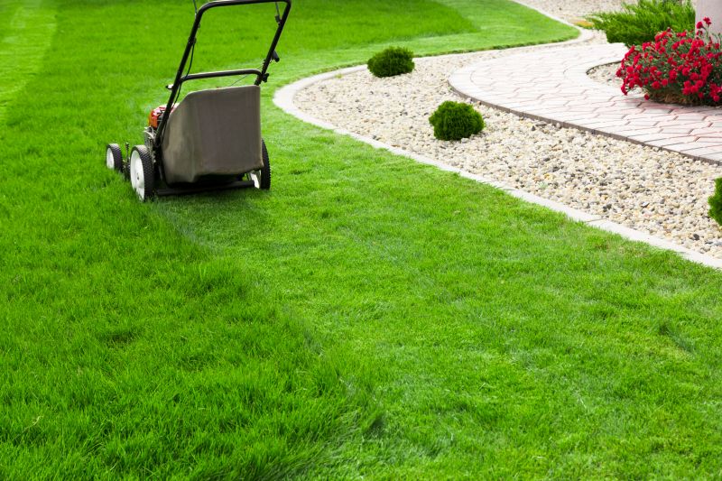 Specialized Lawn Care Companies