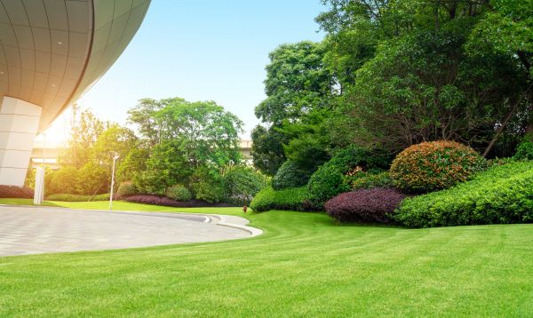 Commercial Lawn Care in Herndon