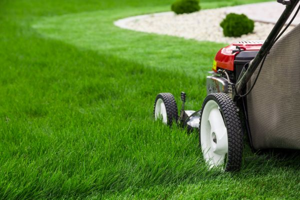 Residential Yard Mowing in Herndon