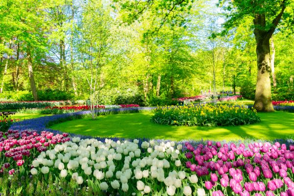 Spring Lawn Care in Herndon