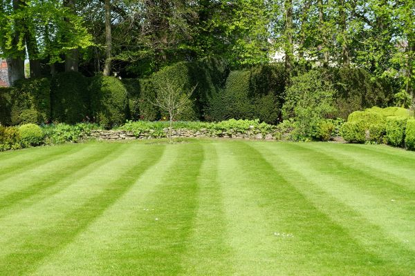 Grass Care Service in Herndon