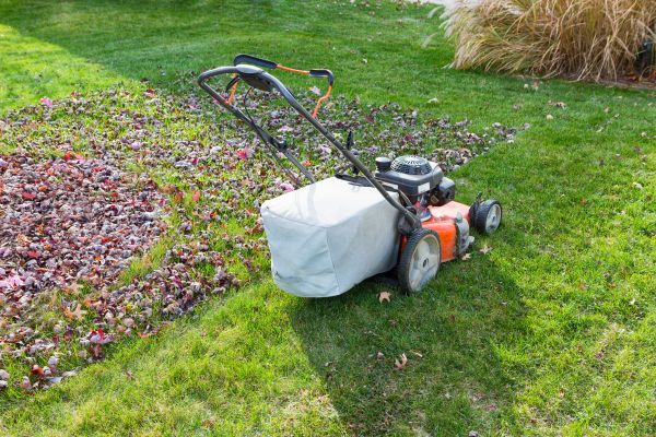 Seasonal Lawn Care in Herndon