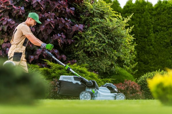 Lawn Management in Herndon