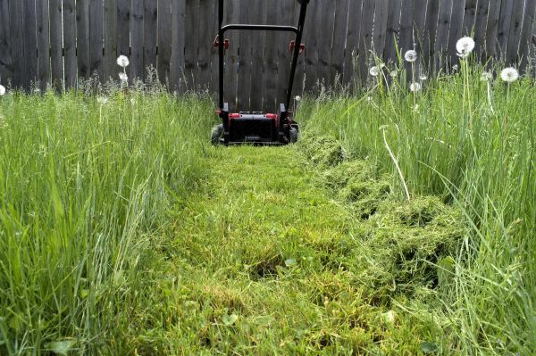 High Grass Mowing in Herndon