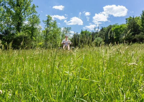 Long Grass Mowing in Herndon