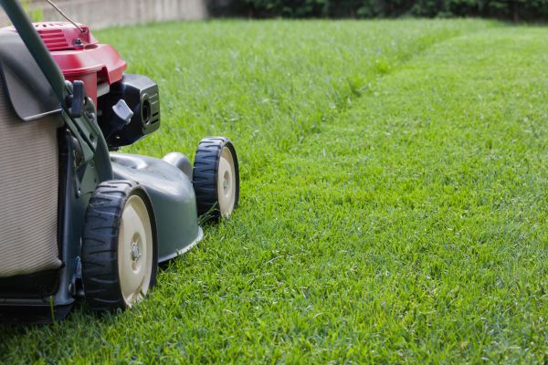 Summer Lawn Care in Herndon