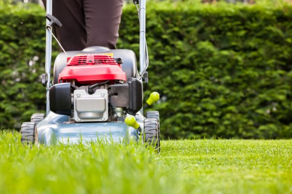 Grass Trimming Service in Herndon