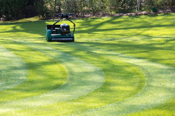 Business Lawn Mowing in Herndon