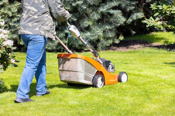Springtime Lawn Care in Herndon