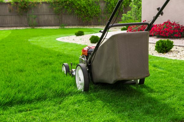Landscape Mowing